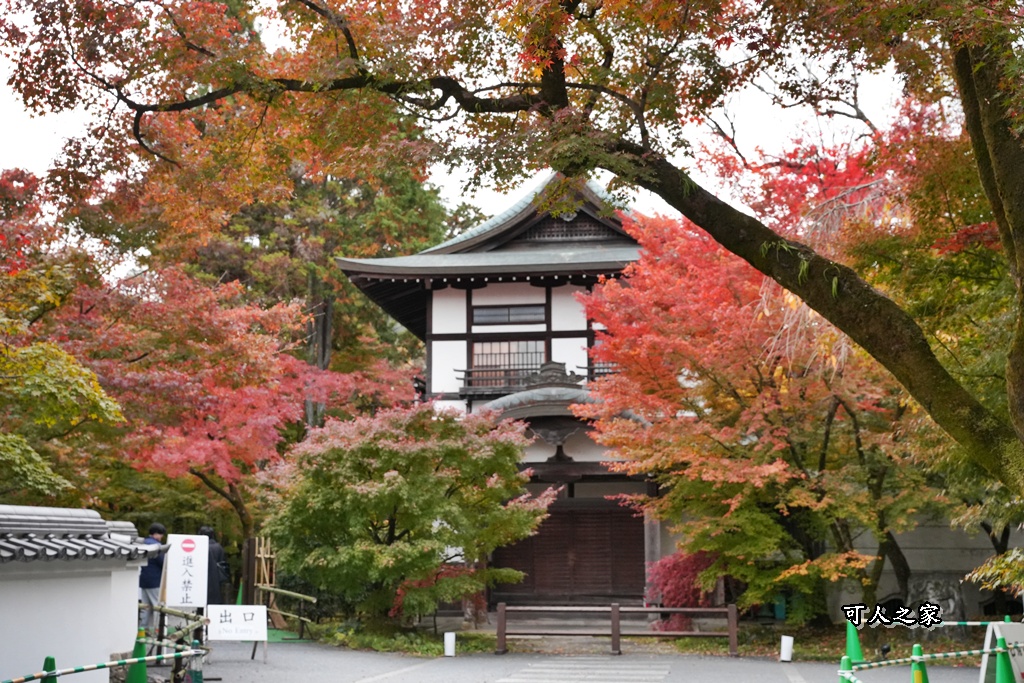 2025永觀堂,京都一日遊,京都必去,京都紅葉,京都賞楓,南禪寺,天授庵,日本賞楓攻略,楓葉季,永觀堂,永觀堂交通,永觀堂夜間參觀,永觀堂放生池,永觀堂茶點,永觀堂賞楓,永觀堂門票,關西賞楓