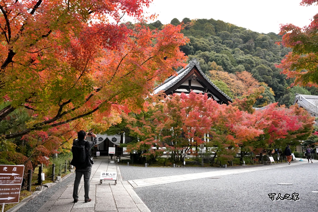 2025永觀堂,京都一日遊,京都必去,京都紅葉,京都賞楓,南禪寺,天授庵,日本賞楓攻略,楓葉季,永觀堂,永觀堂交通,永觀堂夜間參觀,永觀堂放生池,永觀堂茶點,永觀堂賞楓,永觀堂門票,關西賞楓