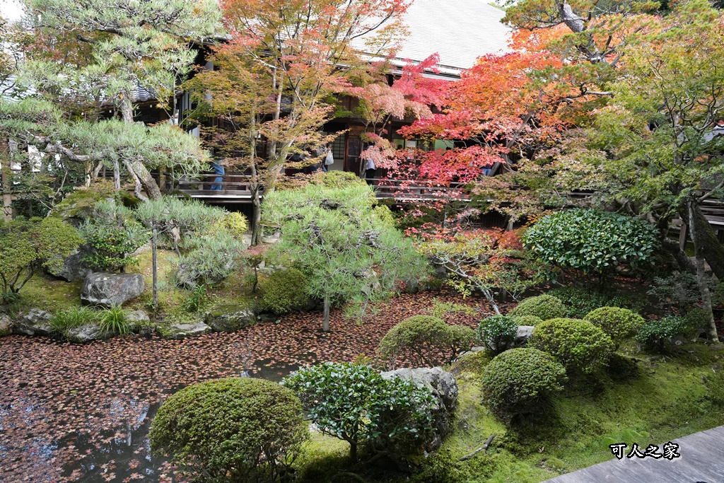 2025永觀堂,京都一日遊,京都必去,京都紅葉,京都賞楓,南禪寺,天授庵,日本賞楓攻略,楓葉季,永觀堂,永觀堂交通,永觀堂夜間參觀,永觀堂放生池,永觀堂茶點,永觀堂賞楓,永觀堂門票,關西賞楓