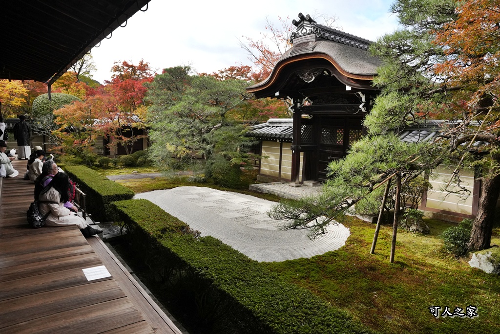 2025永觀堂,京都一日遊,京都必去,京都紅葉,京都賞楓,南禪寺,天授庵,日本賞楓攻略,楓葉季,永觀堂,永觀堂交通,永觀堂夜間參觀,永觀堂放生池,永觀堂茶點,永觀堂賞楓,永觀堂門票,關西賞楓