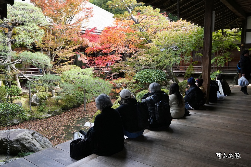 2025永觀堂,京都一日遊,京都必去,京都紅葉,京都賞楓,南禪寺,天授庵,日本賞楓攻略,楓葉季,永觀堂,永觀堂交通,永觀堂夜間參觀,永觀堂放生池,永觀堂茶點,永觀堂賞楓,永觀堂門票,關西賞楓