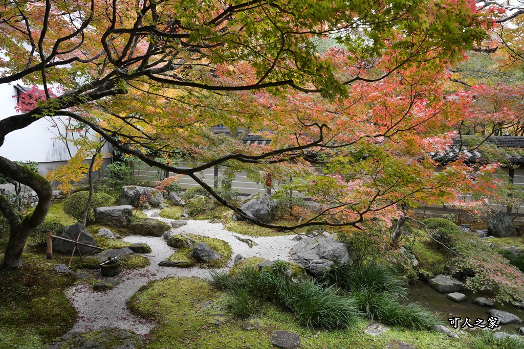 2025永觀堂,京都一日遊,京都必去,京都紅葉,京都賞楓,南禪寺,天授庵,日本賞楓攻略,楓葉季,永觀堂,永觀堂交通,永觀堂夜間參觀,永觀堂放生池,永觀堂茶點,永觀堂賞楓,永觀堂門票,關西賞楓