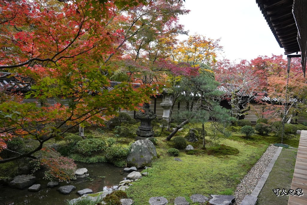 2025永觀堂,京都一日遊,京都必去,京都紅葉,京都賞楓,南禪寺,天授庵,日本賞楓攻略,楓葉季,永觀堂,永觀堂交通,永觀堂夜間參觀,永觀堂放生池,永觀堂茶點,永觀堂賞楓,永觀堂門票,關西賞楓