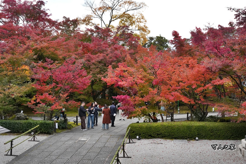 2025永觀堂,京都一日遊,京都必去,京都紅葉,京都賞楓,南禪寺,天授庵,日本賞楓攻略,楓葉季,永觀堂,永觀堂交通,永觀堂夜間參觀,永觀堂放生池,永觀堂茶點,永觀堂賞楓,永觀堂門票,關西賞楓