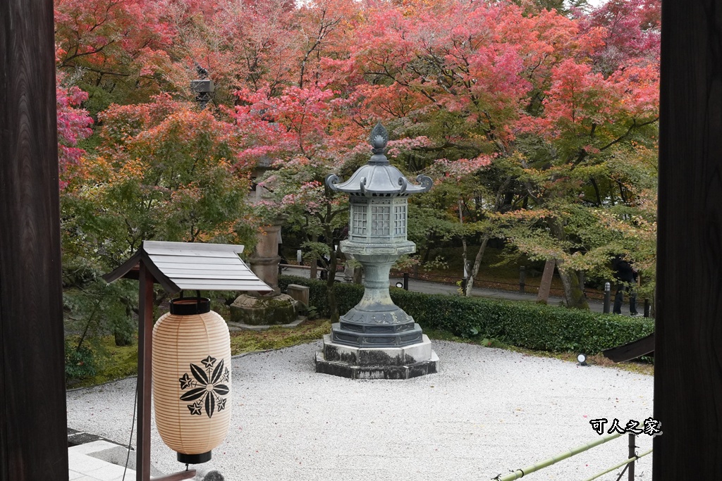 2025永觀堂,京都一日遊,京都必去,京都紅葉,京都賞楓,南禪寺,天授庵,日本賞楓攻略,楓葉季,永觀堂,永觀堂交通,永觀堂夜間參觀,永觀堂放生池,永觀堂茶點,永觀堂賞楓,永觀堂門票,關西賞楓