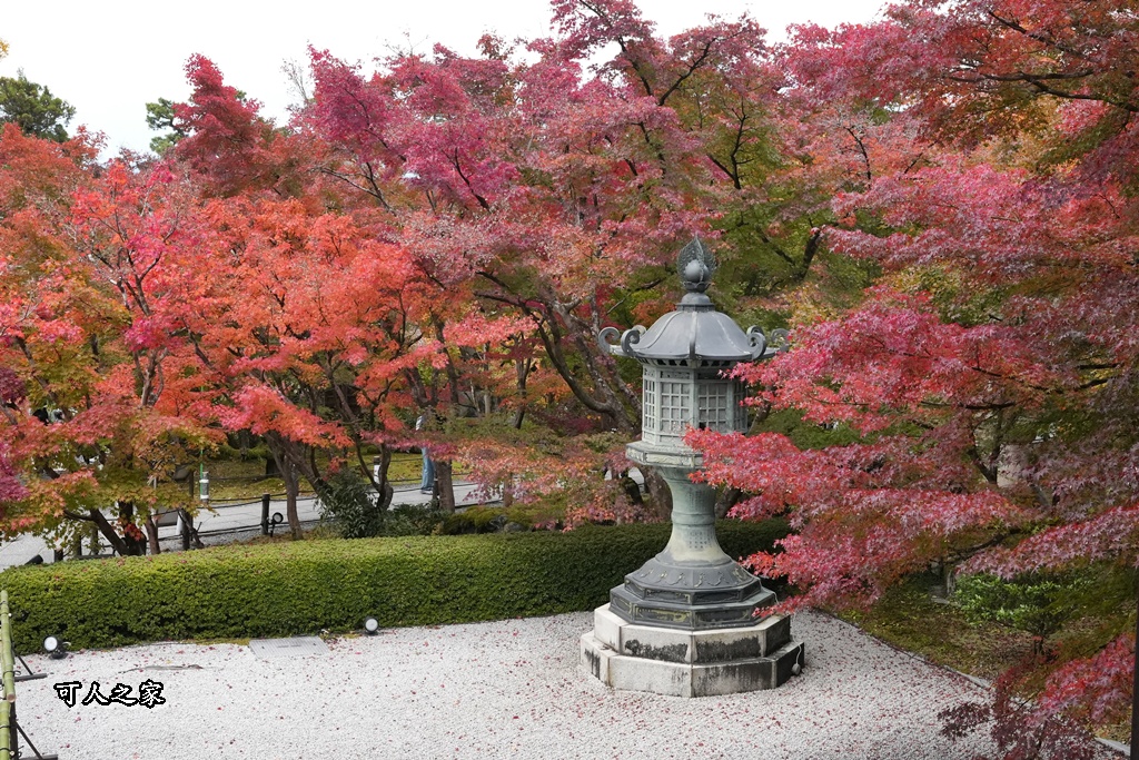 2025永觀堂,京都一日遊,京都必去,京都紅葉,京都賞楓,南禪寺,天授庵,日本賞楓攻略,楓葉季,永觀堂,永觀堂交通,永觀堂夜間參觀,永觀堂放生池,永觀堂茶點,永觀堂賞楓,永觀堂門票,關西賞楓