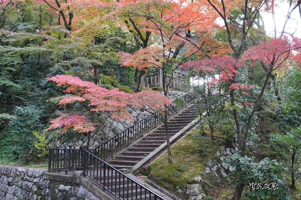 2025永觀堂,京都一日遊,京都必去,京都紅葉,京都賞楓,南禪寺,天授庵,日本賞楓攻略,楓葉季,永觀堂,永觀堂交通,永觀堂夜間參觀,永觀堂放生池,永觀堂茶點,永觀堂賞楓,永觀堂門票,關西賞楓