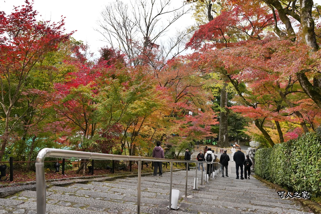 2025永觀堂,京都一日遊,京都必去,京都紅葉,京都賞楓,南禪寺,天授庵,日本賞楓攻略,楓葉季,永觀堂,永觀堂交通,永觀堂夜間參觀,永觀堂放生池,永觀堂茶點,永觀堂賞楓,永觀堂門票,關西賞楓