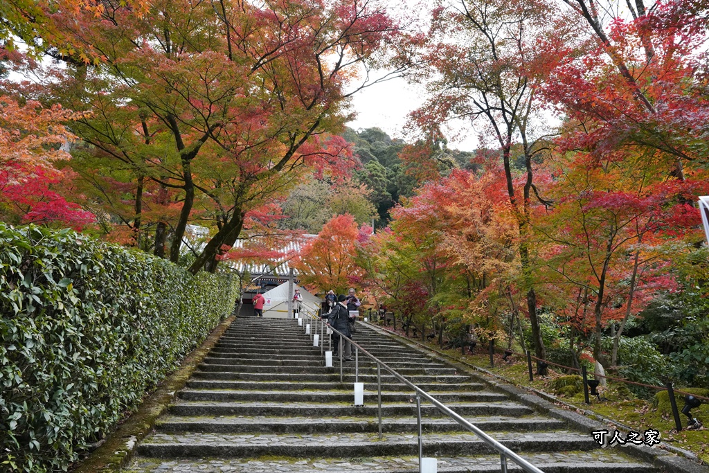2025永觀堂,京都一日遊,京都必去,京都紅葉,京都賞楓,南禪寺,天授庵,日本賞楓攻略,楓葉季,永觀堂,永觀堂交通,永觀堂夜間參觀,永觀堂放生池,永觀堂茶點,永觀堂賞楓,永觀堂門票,關西賞楓