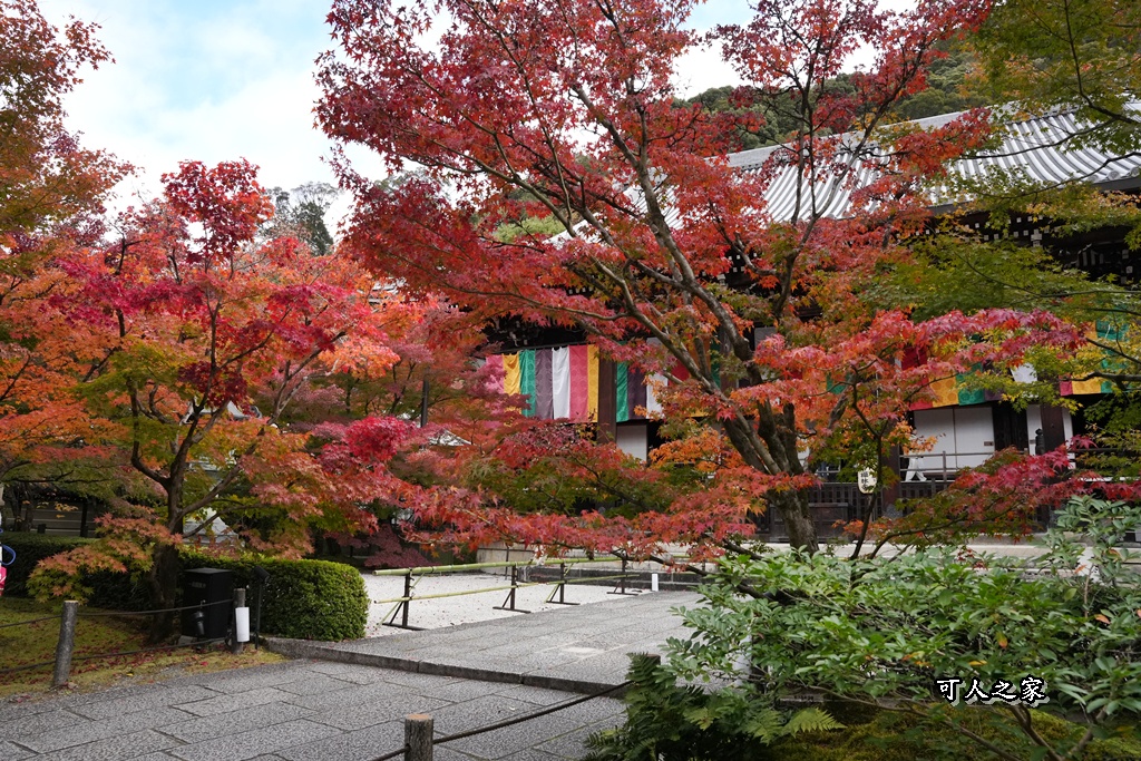 2025永觀堂,京都一日遊,京都必去,京都紅葉,京都賞楓,南禪寺,天授庵,日本賞楓攻略,楓葉季,永觀堂,永觀堂交通,永觀堂夜間參觀,永觀堂放生池,永觀堂茶點,永觀堂賞楓,永觀堂門票,關西賞楓