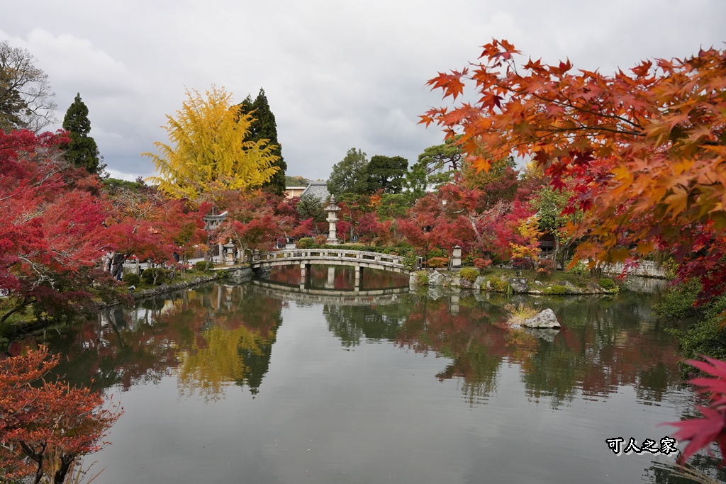 2025永觀堂,京都一日遊,京都必去,京都紅葉,京都賞楓,南禪寺,天授庵,日本賞楓攻略,楓葉季,永觀堂,永觀堂交通,永觀堂夜間參觀,永觀堂放生池,永觀堂茶點,永觀堂賞楓,永觀堂門票,關西賞楓