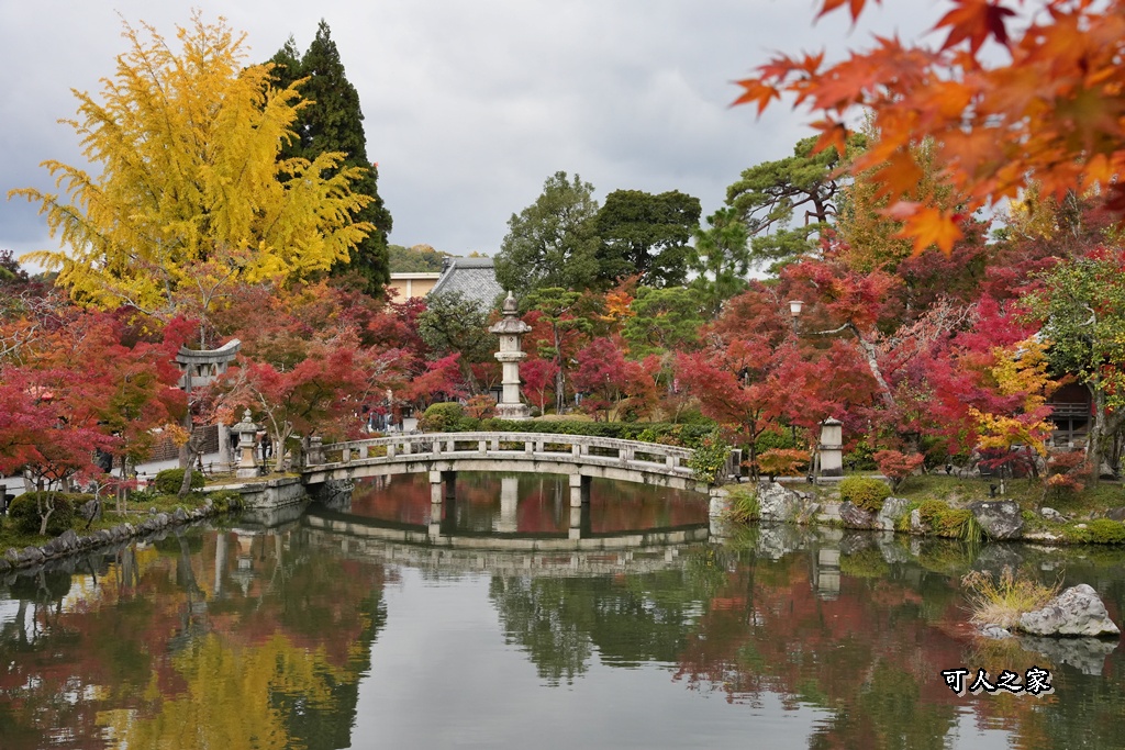 2025永觀堂,京都一日遊,京都必去,京都紅葉,京都賞楓,南禪寺,天授庵,日本賞楓攻略,楓葉季,永觀堂,永觀堂交通,永觀堂夜間參觀,永觀堂放生池,永觀堂茶點,永觀堂賞楓,永觀堂門票,關西賞楓