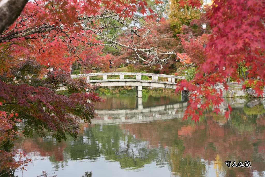 2025永觀堂,京都一日遊,京都必去,京都紅葉,京都賞楓,南禪寺,天授庵,日本賞楓攻略,楓葉季,永觀堂,永觀堂交通,永觀堂夜間參觀,永觀堂放生池,永觀堂茶點,永觀堂賞楓,永觀堂門票,關西賞楓