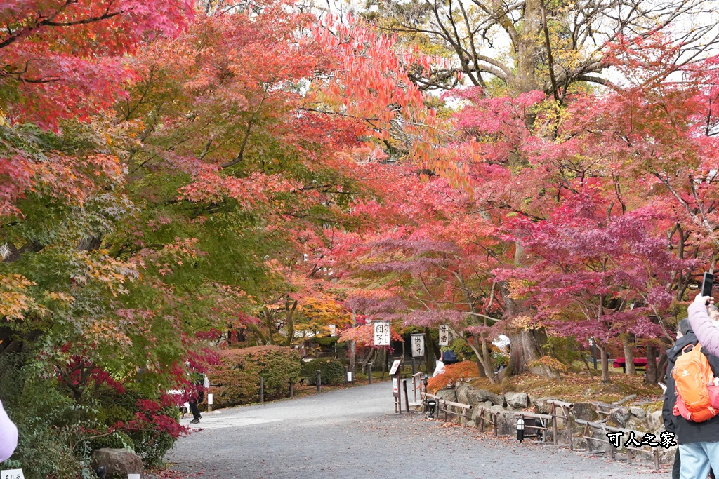 2025永觀堂,京都一日遊,京都必去,京都紅葉,京都賞楓,南禪寺,天授庵,日本賞楓攻略,楓葉季,永觀堂,永觀堂交通,永觀堂夜間參觀,永觀堂放生池,永觀堂茶點,永觀堂賞楓,永觀堂門票,關西賞楓