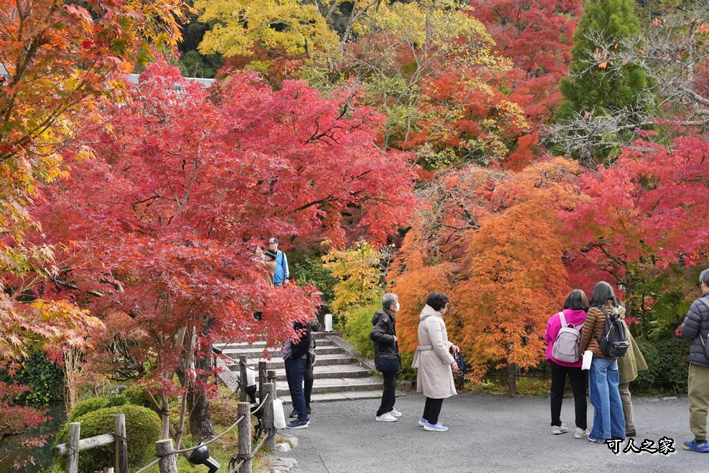 2025永觀堂,京都一日遊,京都必去,京都紅葉,京都賞楓,南禪寺,天授庵,日本賞楓攻略,楓葉季,永觀堂,永觀堂交通,永觀堂夜間參觀,永觀堂放生池,永觀堂茶點,永觀堂賞楓,永觀堂門票,關西賞楓