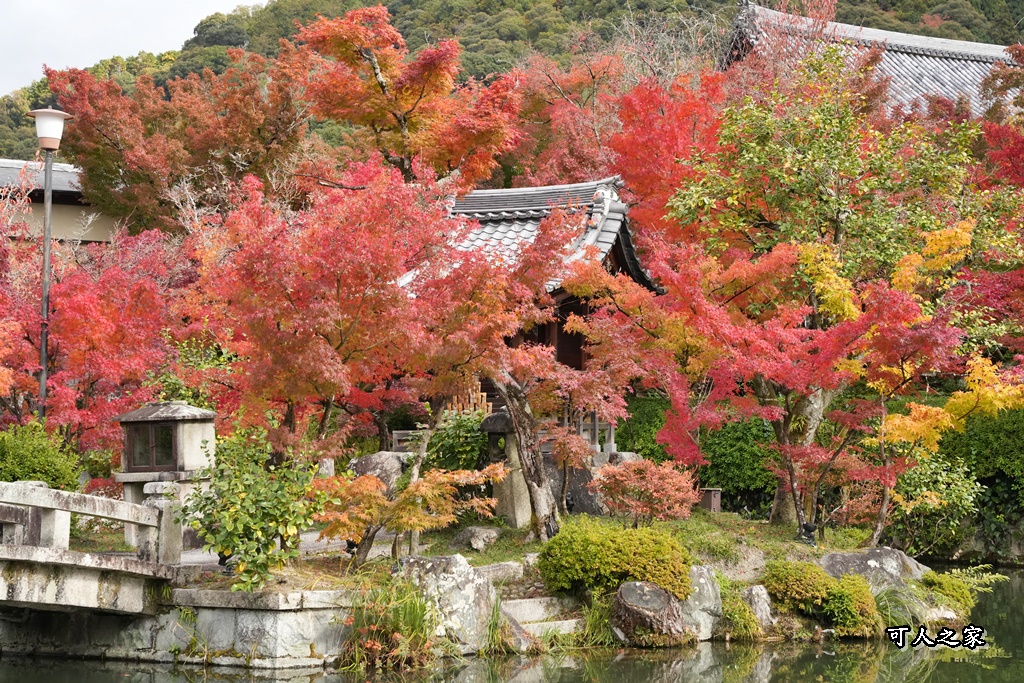 2025永觀堂,京都一日遊,京都必去,京都紅葉,京都賞楓,南禪寺,天授庵,日本賞楓攻略,楓葉季,永觀堂,永觀堂交通,永觀堂夜間參觀,永觀堂放生池,永觀堂茶點,永觀堂賞楓,永觀堂門票,關西賞楓