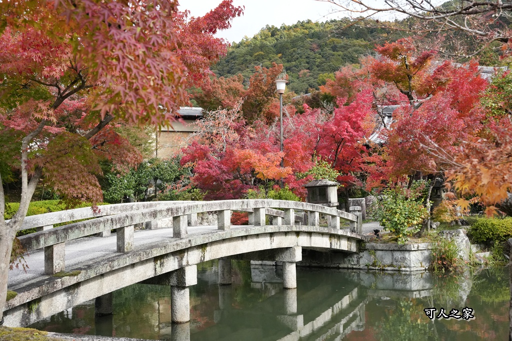 2025永觀堂,京都一日遊,京都必去,京都紅葉,京都賞楓,南禪寺,天授庵,日本賞楓攻略,楓葉季,永觀堂,永觀堂交通,永觀堂夜間參觀,永觀堂放生池,永觀堂茶點,永觀堂賞楓,永觀堂門票,關西賞楓