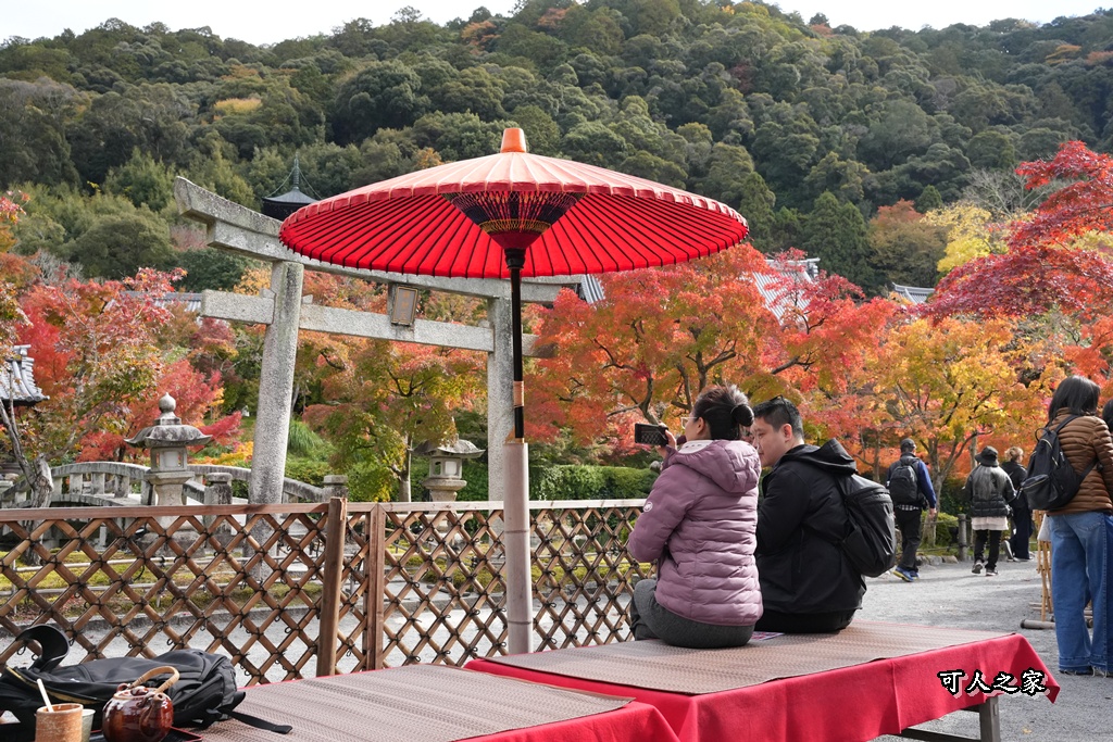 2025永觀堂,京都一日遊,京都必去,京都紅葉,京都賞楓,南禪寺,天授庵,日本賞楓攻略,楓葉季,永觀堂,永觀堂交通,永觀堂夜間參觀,永觀堂放生池,永觀堂茶點,永觀堂賞楓,永觀堂門票,關西賞楓