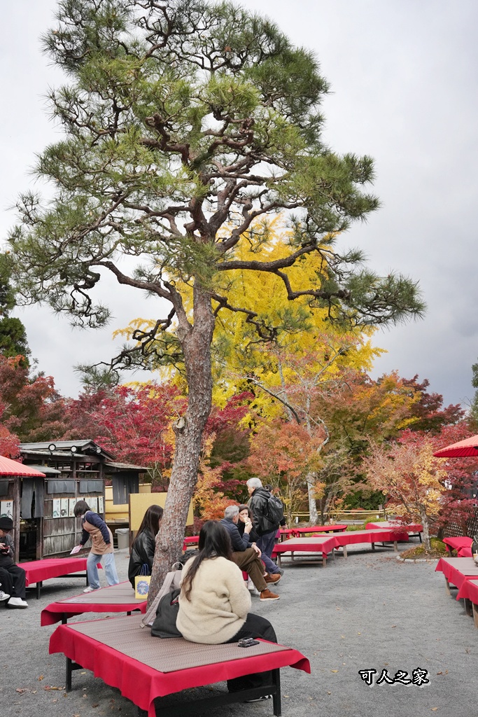 2025永觀堂,京都一日遊,京都必去,京都紅葉,京都賞楓,南禪寺,天授庵,日本賞楓攻略,楓葉季,永觀堂,永觀堂交通,永觀堂夜間參觀,永觀堂放生池,永觀堂茶點,永觀堂賞楓,永觀堂門票,關西賞楓