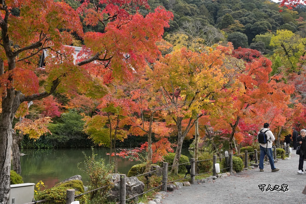 2025永觀堂,京都一日遊,京都必去,京都紅葉,京都賞楓,南禪寺,天授庵,日本賞楓攻略,楓葉季,永觀堂,永觀堂交通,永觀堂夜間參觀,永觀堂放生池,永觀堂茶點,永觀堂賞楓,永觀堂門票,關西賞楓