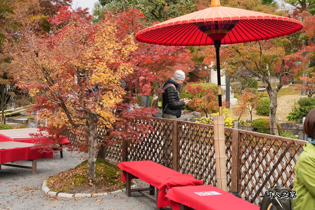 2025永觀堂,京都一日遊,京都必去,京都紅葉,京都賞楓,南禪寺,天授庵,日本賞楓攻略,楓葉季,永觀堂,永觀堂交通,永觀堂夜間參觀,永觀堂放生池,永觀堂茶點,永觀堂賞楓,永觀堂門票,關西賞楓