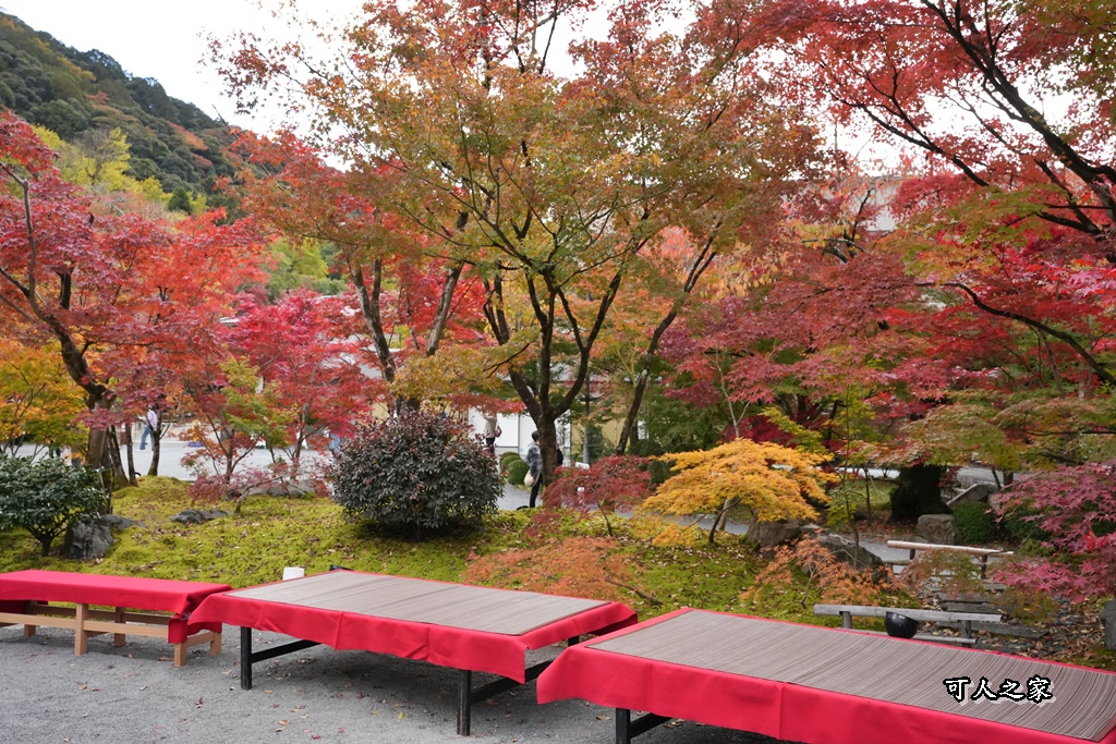 2025永觀堂,京都一日遊,京都必去,京都紅葉,京都賞楓,南禪寺,天授庵,日本賞楓攻略,楓葉季,永觀堂,永觀堂交通,永觀堂夜間參觀,永觀堂放生池,永觀堂茶點,永觀堂賞楓,永觀堂門票,關西賞楓