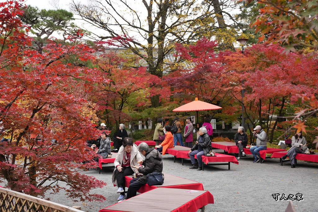 2025永觀堂,京都一日遊,京都必去,京都紅葉,京都賞楓,南禪寺,天授庵,日本賞楓攻略,楓葉季,永觀堂,永觀堂交通,永觀堂夜間參觀,永觀堂放生池,永觀堂茶點,永觀堂賞楓,永觀堂門票,關西賞楓