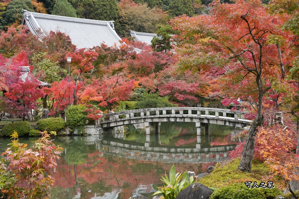 網站近期文章：【2025永觀堂參觀攻略】票選最美的賞楓景點之一，茶點心動體驗好享受！