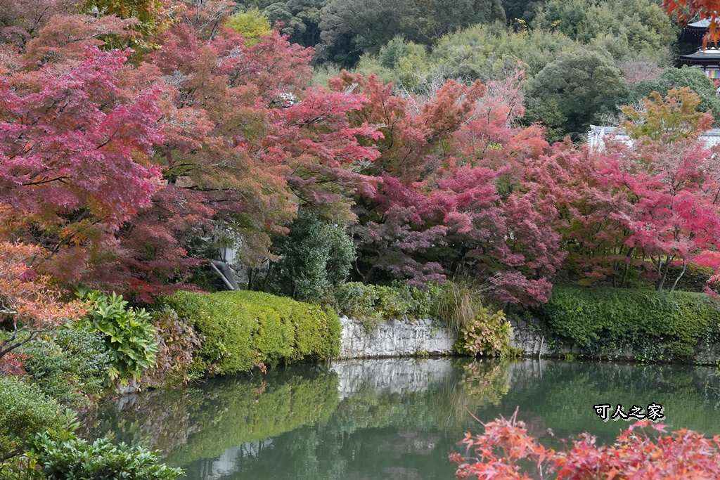 2025永觀堂,京都一日遊,京都必去,京都紅葉,京都賞楓,南禪寺,天授庵,日本賞楓攻略,楓葉季,永觀堂,永觀堂交通,永觀堂夜間參觀,永觀堂放生池,永觀堂茶點,永觀堂賞楓,永觀堂門票,關西賞楓