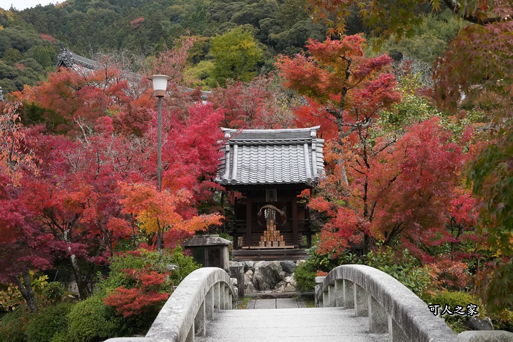 2025永觀堂,京都一日遊,京都必去,京都紅葉,京都賞楓,南禪寺,天授庵,日本賞楓攻略,楓葉季,永觀堂,永觀堂交通,永觀堂夜間參觀,永觀堂放生池,永觀堂茶點,永觀堂賞楓,永觀堂門票,關西賞楓