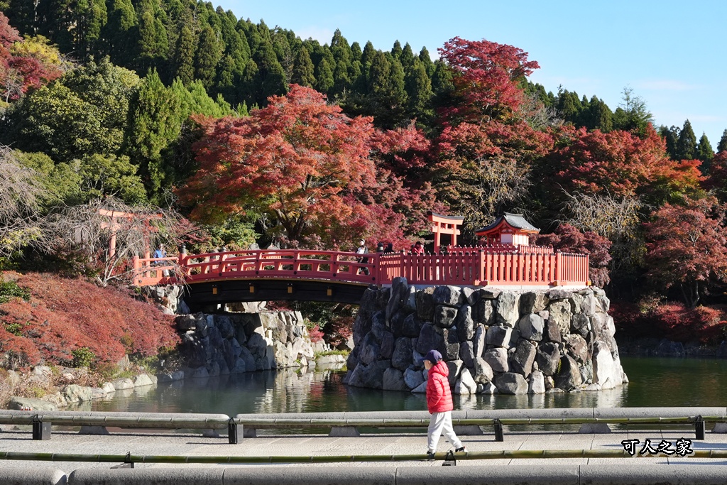 延伸閱讀：【2025勝尾寺賞楓攻略】最新大阪勝尾寺楓葉大爆紅，門票交通、達摩牆拍爆攻略