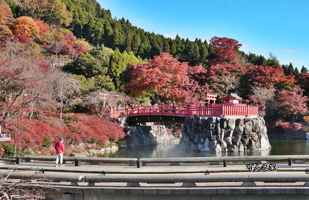 Katsuoji Temple,勝尾寺,勝尾寺怎麼去,勝尾寺門票,大阪交通,大阪自由行,大阪賞楓,季節限定,寺廟巡禮,打卡熱點,拍照景點,旅遊攻略.,日本紅葉,楓葉季,淨化之橋,箕面萱野,絕美楓葉,網美景點,達摩不倒翁,達摩牆,關西賞楓