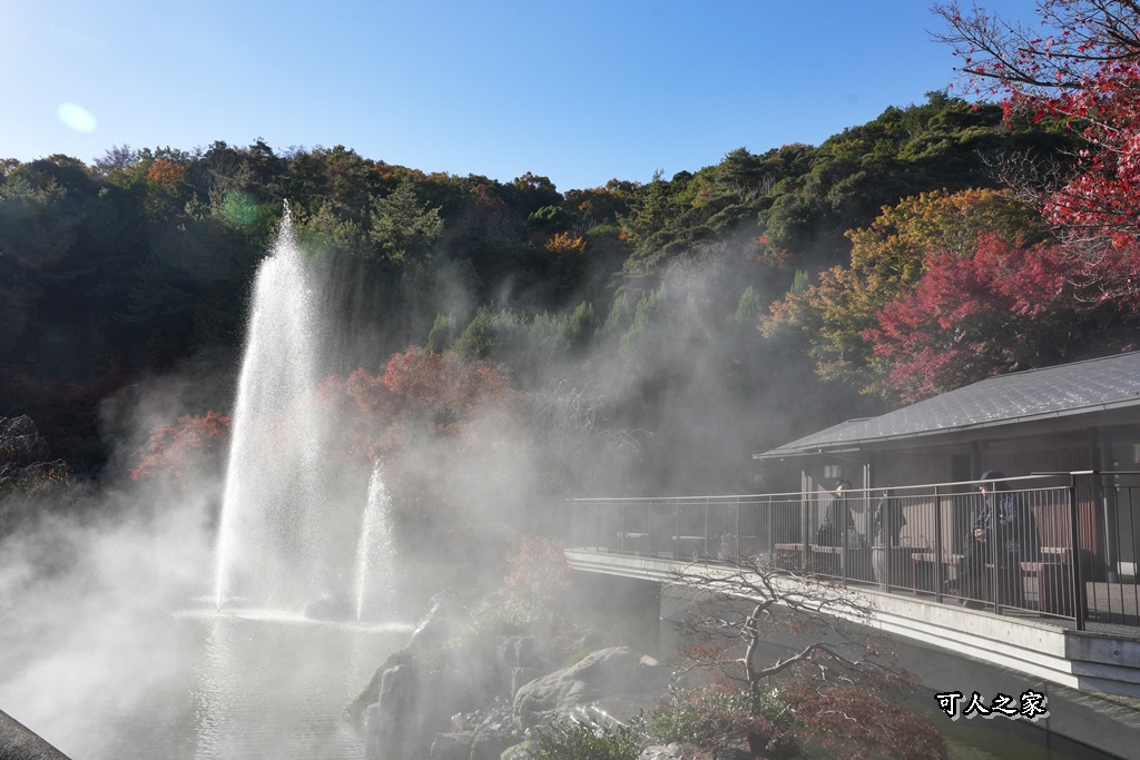 Katsuoji Temple,勝尾寺,勝尾寺怎麼去,勝尾寺門票,大阪交通,大阪自由行,大阪賞楓,季節限定,寺廟巡禮,打卡熱點,拍照景點,旅遊攻略.,日本紅葉,楓葉季,淨化之橋,箕面萱野,絕美楓葉,網美景點,達摩不倒翁,達摩牆,關西賞楓