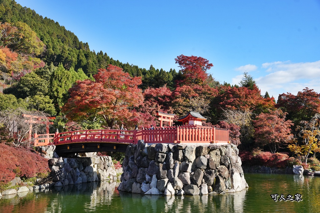 Katsuoji Temple,勝尾寺,勝尾寺怎麼去,勝尾寺門票,大阪交通,大阪自由行,大阪賞楓,季節限定,寺廟巡禮,打卡熱點,拍照景點,旅遊攻略.,日本紅葉,楓葉季,淨化之橋,箕面萱野,絕美楓葉,網美景點,達摩不倒翁,達摩牆,關西賞楓