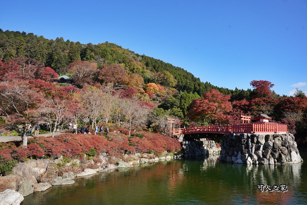 Katsuoji Temple,勝尾寺,勝尾寺怎麼去,勝尾寺門票,大阪交通,大阪自由行,大阪賞楓,季節限定,寺廟巡禮,打卡熱點,拍照景點,旅遊攻略.,日本紅葉,楓葉季,淨化之橋,箕面萱野,絕美楓葉,網美景點,達摩不倒翁,達摩牆,關西賞楓