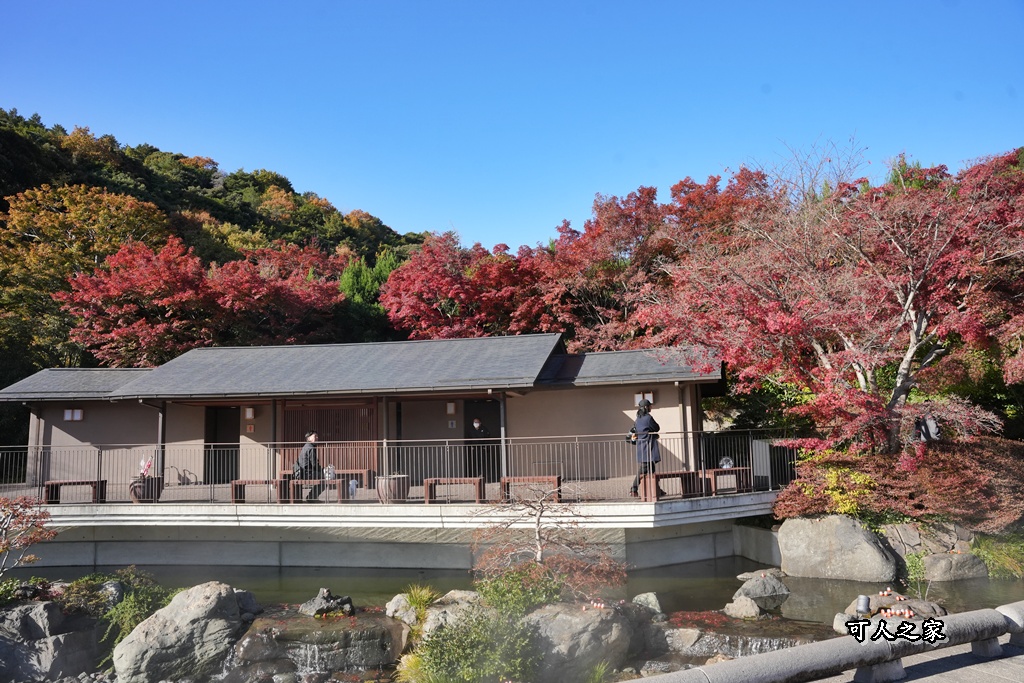 Katsuoji Temple,勝尾寺,勝尾寺怎麼去,勝尾寺門票,大阪交通,大阪自由行,大阪賞楓,季節限定,寺廟巡禮,打卡熱點,拍照景點,旅遊攻略.,日本紅葉,楓葉季,淨化之橋,箕面萱野,絕美楓葉,網美景點,達摩不倒翁,達摩牆,關西賞楓