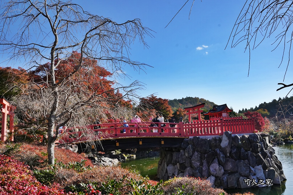 Katsuoji Temple,勝尾寺,勝尾寺怎麼去,勝尾寺門票,大阪交通,大阪自由行,大阪賞楓,季節限定,寺廟巡禮,打卡熱點,拍照景點,旅遊攻略.,日本紅葉,楓葉季,淨化之橋,箕面萱野,絕美楓葉,網美景點,達摩不倒翁,達摩牆,關西賞楓