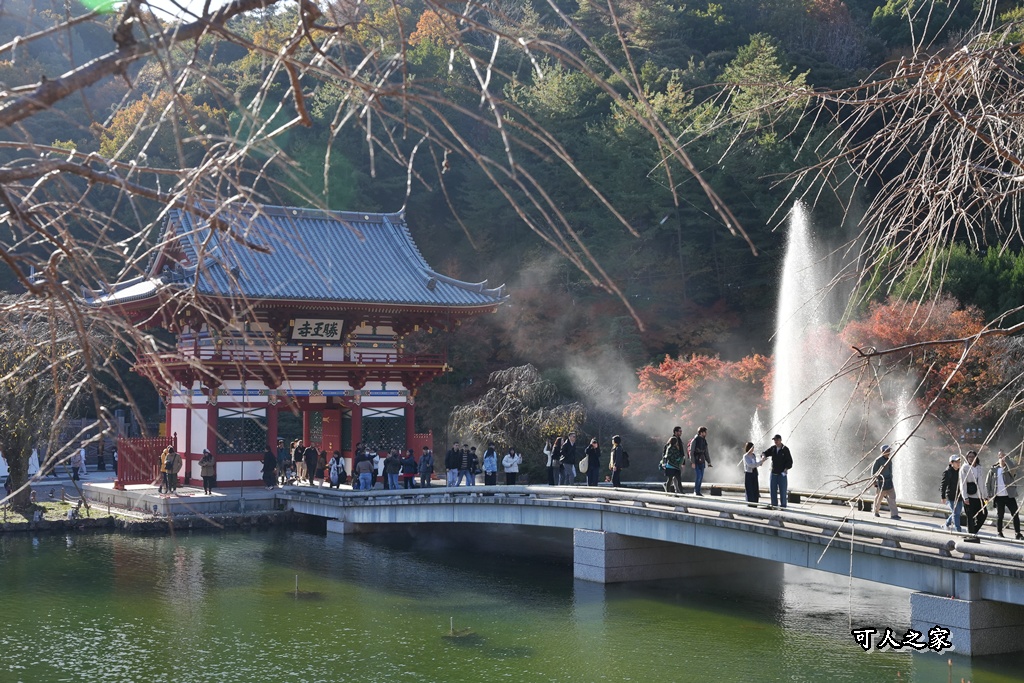 Katsuoji Temple,勝尾寺,勝尾寺怎麼去,勝尾寺門票,大阪交通,大阪自由行,大阪賞楓,季節限定,寺廟巡禮,打卡熱點,拍照景點,旅遊攻略.,日本紅葉,楓葉季,淨化之橋,箕面萱野,絕美楓葉,網美景點,達摩不倒翁,達摩牆,關西賞楓