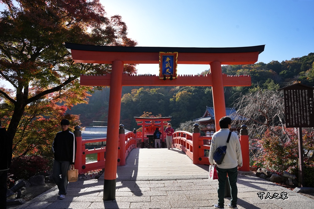 Katsuoji Temple,勝尾寺,勝尾寺怎麼去,勝尾寺門票,大阪交通,大阪自由行,大阪賞楓,季節限定,寺廟巡禮,打卡熱點,拍照景點,旅遊攻略.,日本紅葉,楓葉季,淨化之橋,箕面萱野,絕美楓葉,網美景點,達摩不倒翁,達摩牆,關西賞楓