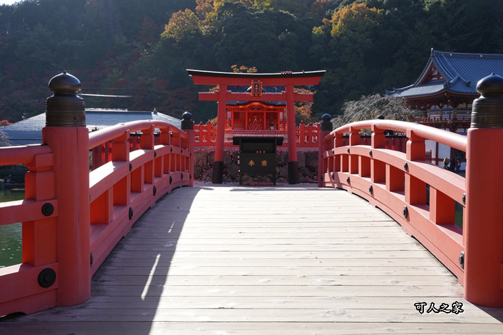 Katsuoji Temple,勝尾寺,勝尾寺怎麼去,勝尾寺門票,大阪交通,大阪自由行,大阪賞楓,季節限定,寺廟巡禮,打卡熱點,拍照景點,旅遊攻略.,日本紅葉,楓葉季,淨化之橋,箕面萱野,絕美楓葉,網美景點,達摩不倒翁,達摩牆,關西賞楓