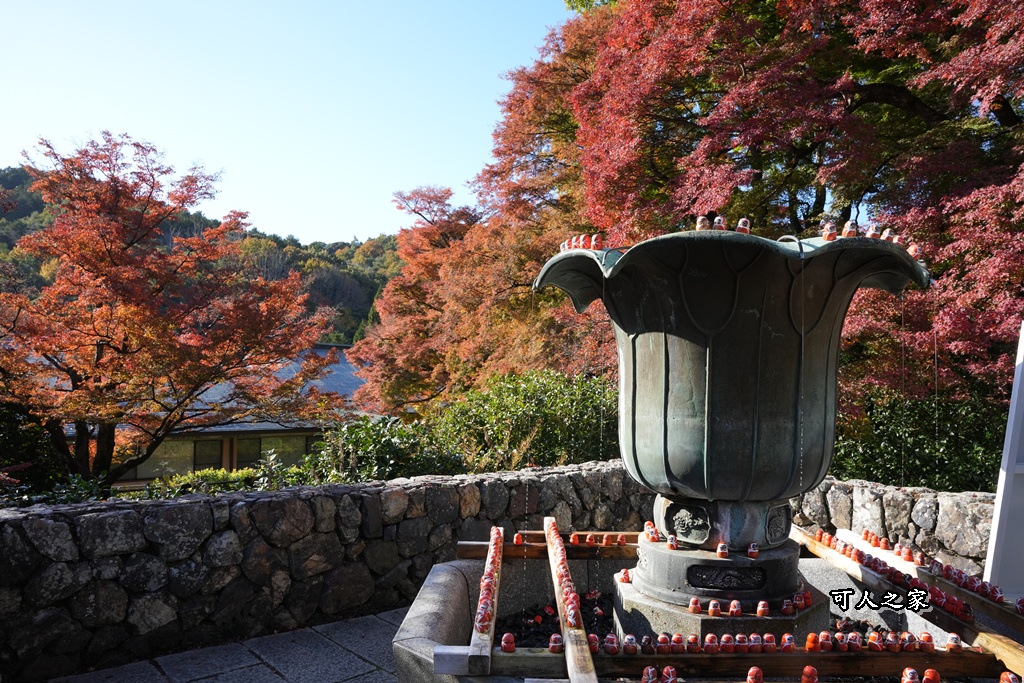 Katsuoji Temple,勝尾寺,勝尾寺怎麼去,勝尾寺門票,大阪交通,大阪自由行,大阪賞楓,季節限定,寺廟巡禮,打卡熱點,拍照景點,旅遊攻略.,日本紅葉,楓葉季,淨化之橋,箕面萱野,絕美楓葉,網美景點,達摩不倒翁,達摩牆,關西賞楓