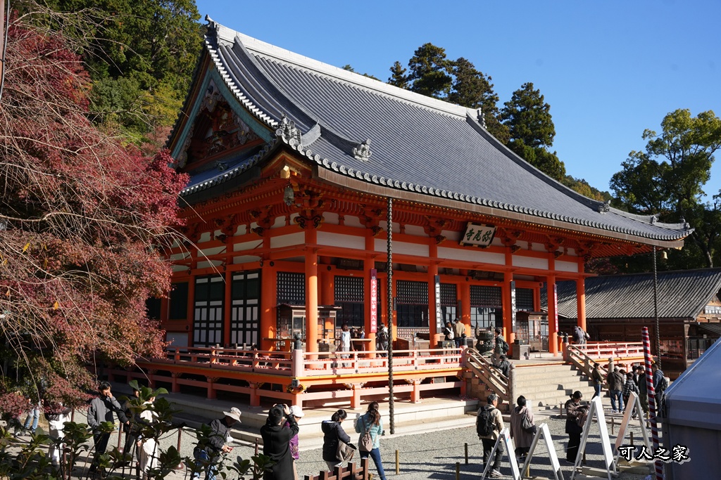 Katsuoji Temple,勝尾寺,勝尾寺怎麼去,勝尾寺門票,大阪交通,大阪自由行,大阪賞楓,季節限定,寺廟巡禮,打卡熱點,拍照景點,旅遊攻略.,日本紅葉,楓葉季,淨化之橋,箕面萱野,絕美楓葉,網美景點,達摩不倒翁,達摩牆,關西賞楓