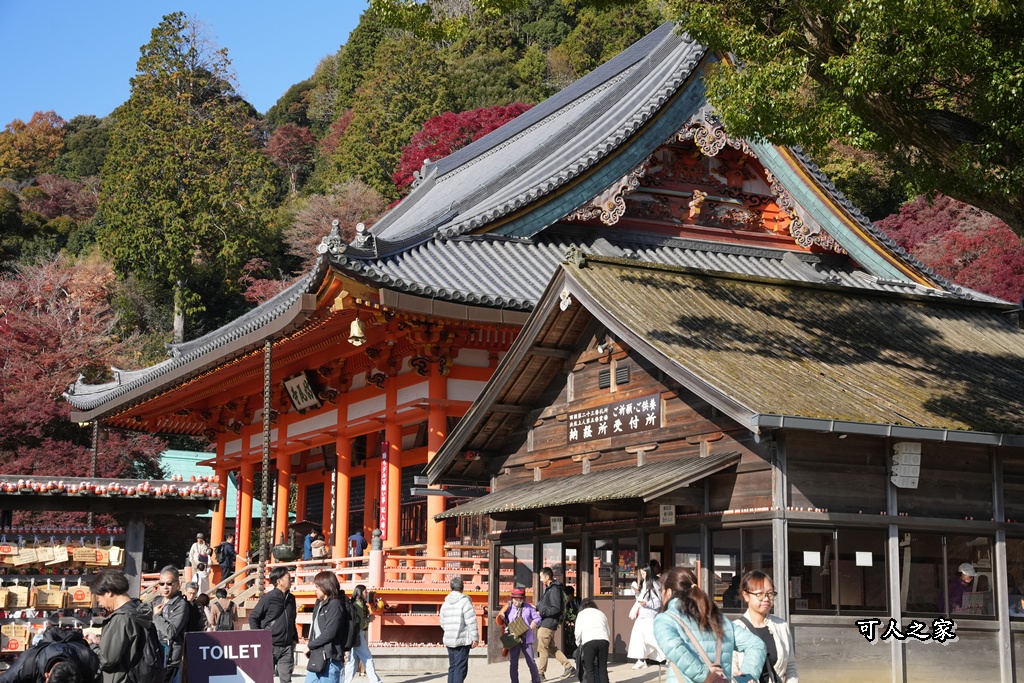 Katsuoji Temple,勝尾寺,勝尾寺怎麼去,勝尾寺門票,大阪交通,大阪自由行,大阪賞楓,季節限定,寺廟巡禮,打卡熱點,拍照景點,旅遊攻略.,日本紅葉,楓葉季,淨化之橋,箕面萱野,絕美楓葉,網美景點,達摩不倒翁,達摩牆,關西賞楓