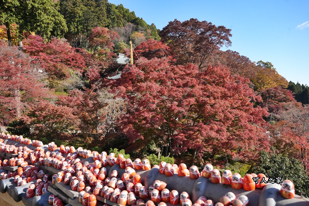 Katsuoji Temple,勝尾寺,勝尾寺怎麼去,勝尾寺門票,大阪交通,大阪自由行,大阪賞楓,季節限定,寺廟巡禮,打卡熱點,拍照景點,旅遊攻略.,日本紅葉,楓葉季,淨化之橋,箕面萱野,絕美楓葉,網美景點,達摩不倒翁,達摩牆,關西賞楓