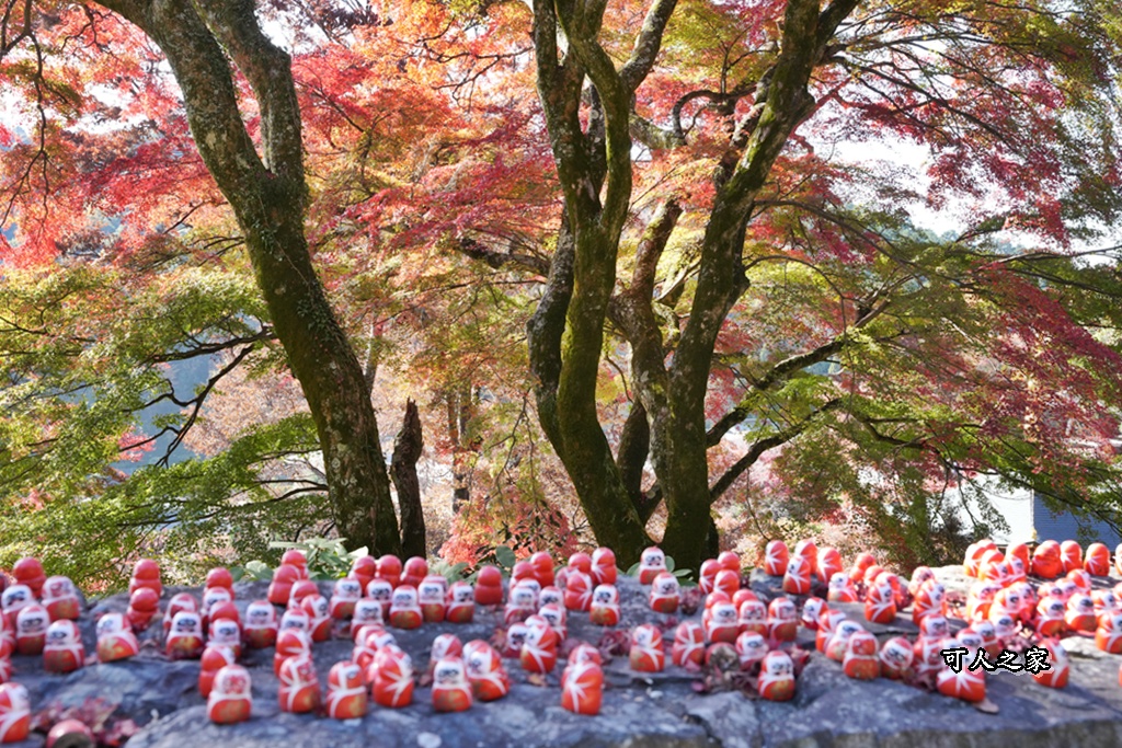 Katsuoji Temple,勝尾寺,勝尾寺怎麼去,勝尾寺門票,大阪交通,大阪自由行,大阪賞楓,季節限定,寺廟巡禮,打卡熱點,拍照景點,旅遊攻略.,日本紅葉,楓葉季,淨化之橋,箕面萱野,絕美楓葉,網美景點,達摩不倒翁,達摩牆,關西賞楓