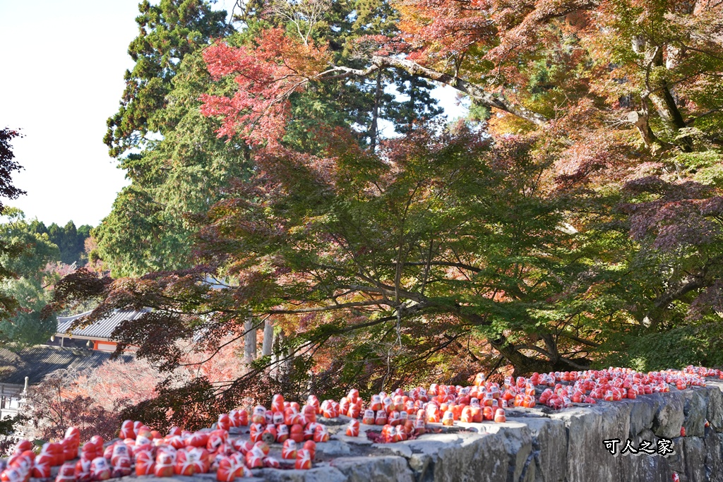 Katsuoji Temple,勝尾寺,勝尾寺怎麼去,勝尾寺門票,大阪交通,大阪自由行,大阪賞楓,季節限定,寺廟巡禮,打卡熱點,拍照景點,旅遊攻略.,日本紅葉,楓葉季,淨化之橋,箕面萱野,絕美楓葉,網美景點,達摩不倒翁,達摩牆,關西賞楓