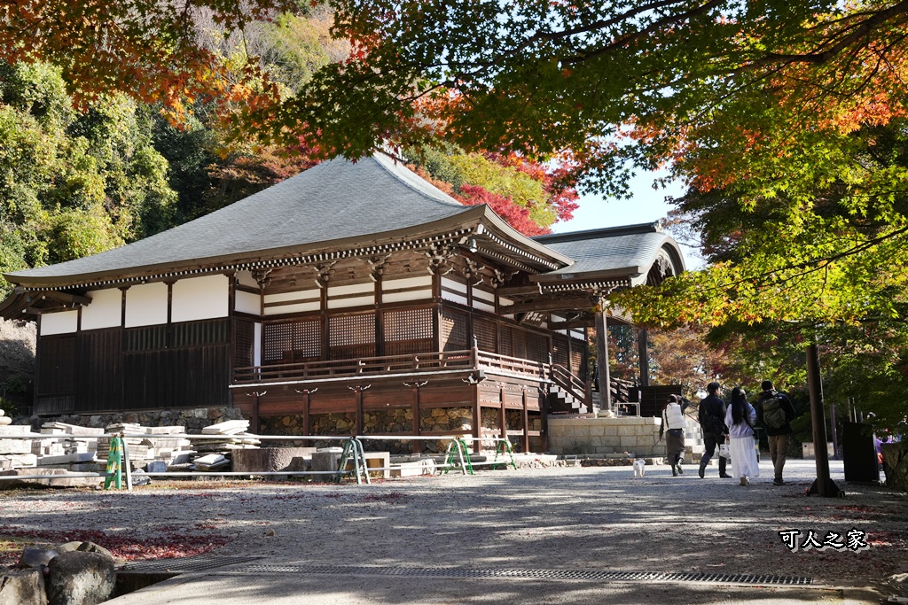 Katsuoji Temple,勝尾寺,勝尾寺怎麼去,勝尾寺門票,大阪交通,大阪自由行,大阪賞楓,季節限定,寺廟巡禮,打卡熱點,拍照景點,旅遊攻略.,日本紅葉,楓葉季,淨化之橋,箕面萱野,絕美楓葉,網美景點,達摩不倒翁,達摩牆,關西賞楓