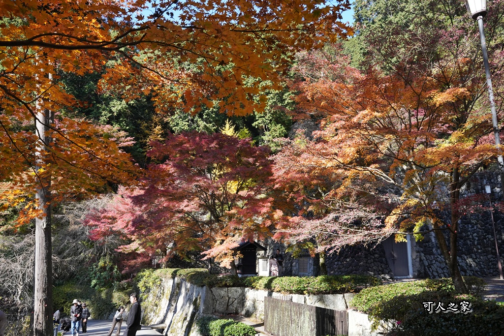 Katsuoji Temple,勝尾寺,勝尾寺怎麼去,勝尾寺門票,大阪交通,大阪自由行,大阪賞楓,季節限定,寺廟巡禮,打卡熱點,拍照景點,旅遊攻略.,日本紅葉,楓葉季,淨化之橋,箕面萱野,絕美楓葉,網美景點,達摩不倒翁,達摩牆,關西賞楓