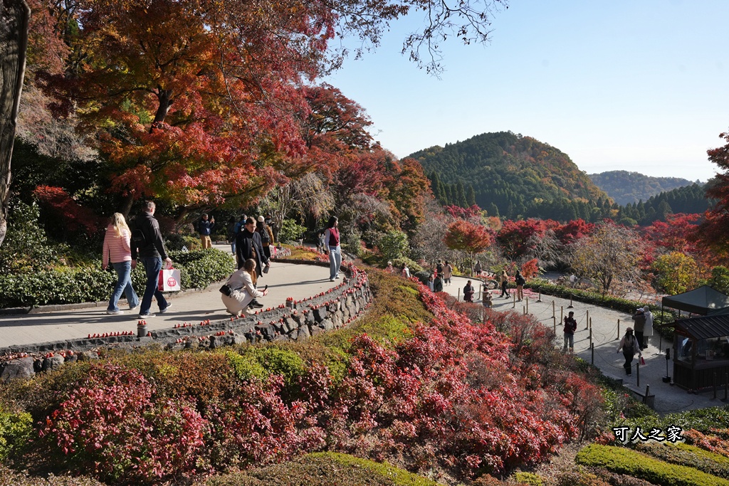 Katsuoji Temple,勝尾寺,勝尾寺怎麼去,勝尾寺門票,大阪交通,大阪自由行,大阪賞楓,季節限定,寺廟巡禮,打卡熱點,拍照景點,旅遊攻略.,日本紅葉,楓葉季,淨化之橋,箕面萱野,絕美楓葉,網美景點,達摩不倒翁,達摩牆,關西賞楓