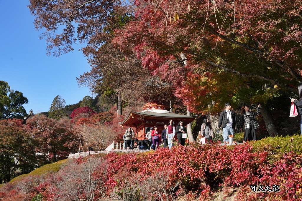 Katsuoji Temple,勝尾寺,勝尾寺怎麼去,勝尾寺門票,大阪交通,大阪自由行,大阪賞楓,季節限定,寺廟巡禮,打卡熱點,拍照景點,旅遊攻略.,日本紅葉,楓葉季,淨化之橋,箕面萱野,絕美楓葉,網美景點,達摩不倒翁,達摩牆,關西賞楓